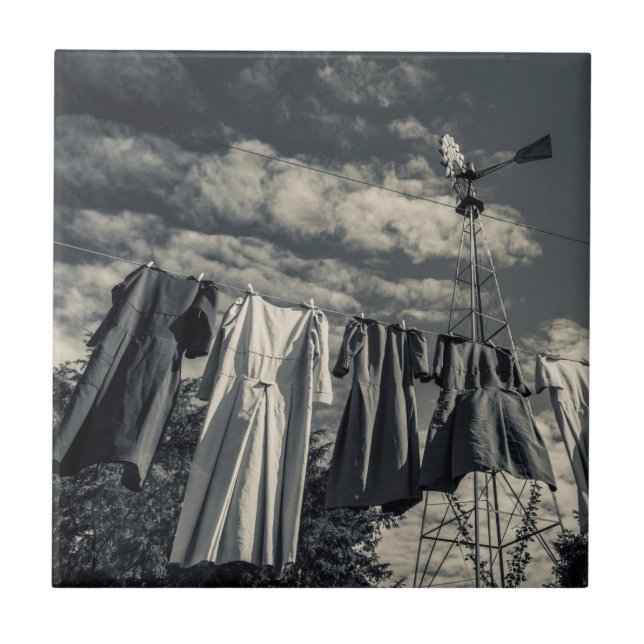 USA, Pennsylvania, Pennsylvania, Niederlande Land  Fliese (Vorderseite)