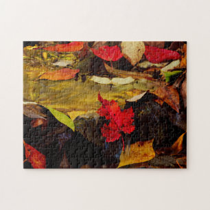 USA, Pennsylvania, Pocono-Gebirge 1 Puzzle