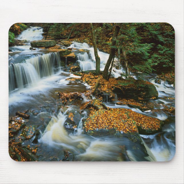 USA, Pennsylvania, Ricketts Glen Staat Park Mousepad (Vorne)
