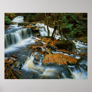 USA, Pennsylvania, Ricketts Glen Staat Park Poster