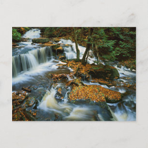 USA, Pennsylvania, Ricketts Glen Staat Park Postkarte