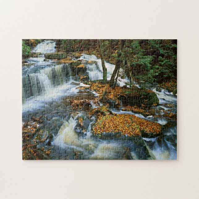 USA, Pennsylvania, Ricketts Glen Staat Park Puzzle (Horizontal)