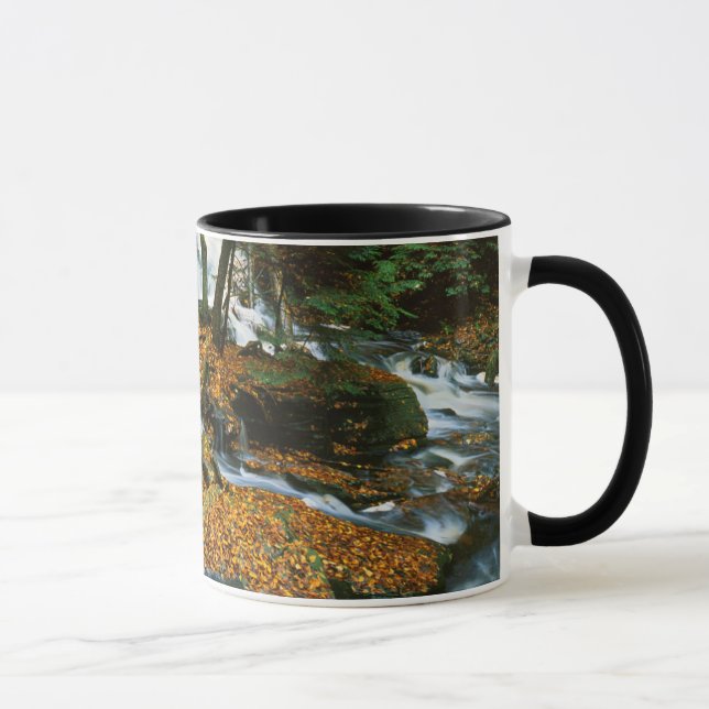 USA, Pennsylvania, Ricketts Glen Staat Park Tasse (Rechts)