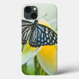USA, Pennsylvania. Schwalbenschwanz-Schmetterling Case-Mate iPhone Hülle