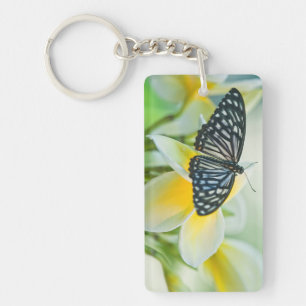 USA, Pennsylvania. Schwalbenschwanz-Schmetterling Schlüsselanhänger
