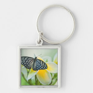 USA, Pennsylvania. Schwalbenschwanz-Schmetterling Schlüsselanhänger