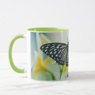 USA, Pennsylvania. Schwalbenschwanz-Schmetterling Tasse
