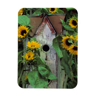 USA, Pennsylvania. Vogelhaus und Garten Magnet
