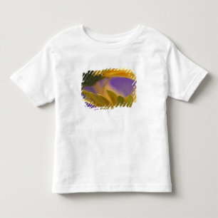 USA, Pennsylvania. Yellow Gerbera Daisies, nah Kleinkind T-shirt