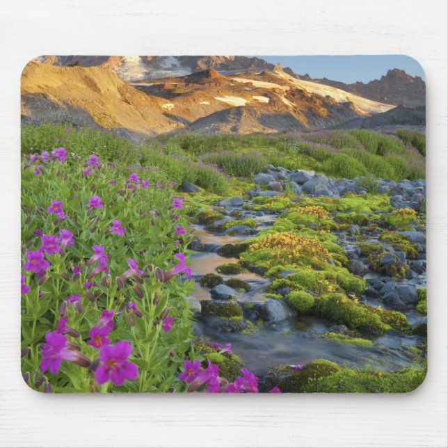 USA, Rainier National Park, Washington. Mousepad (Vorne)