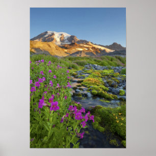 USA, Rainier National Park, Washington. Poster