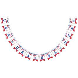 USA Red, White, Blue Wimpelkette