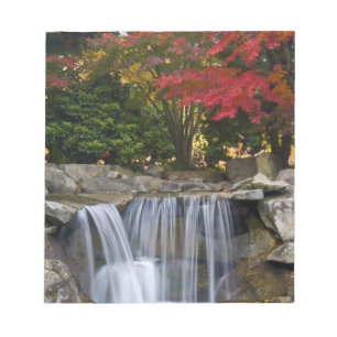 USA, Redmond, Washington. Farbe im Park fallen. Notizblock