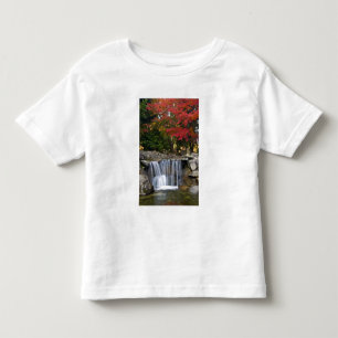 USA, Redmond, Washington. Herbstfarbe in einem Par Kleinkind T-shirt