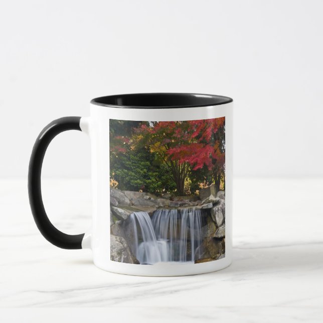 USA, Redmond, Washington. Herbstfarbe in einem Par Tasse (Links)