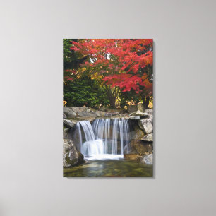 USA, Redmond, Washington. Herbstfarben in einem Pa Leinwanddruck
