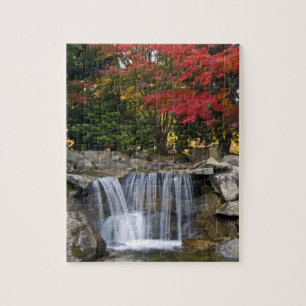 USA, Redmond, Washington. Herbstfarben in einem Pa Puzzle