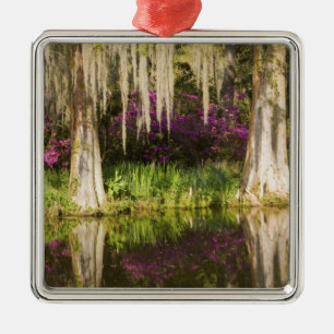 USA, South Carolina, Charleston. Cypress-Bäume Ornament Aus Metall