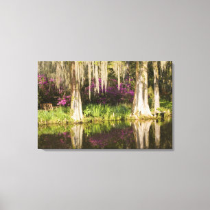 USA, South Carolina, Charleston. Zypressen Leinwanddruck