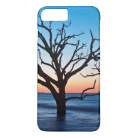 USA, South Carolina, Edisto Island, Botany Bay
