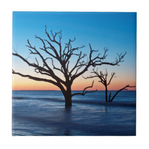 USA, South Carolina, Edisto Island, Botany Bay Fliese