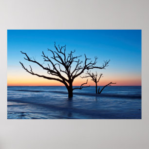 USA, South Carolina, Edisto Island, Botany Bay Poster