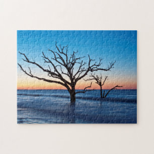 USA, South Carolina, Edisto Island, Botany Bay Puzzle