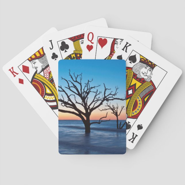 USA, South Carolina, Edisto Island, Botany Bay Spielkarten (Rückseite)