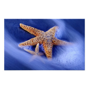 USA, South Carolina, Hilton Head Island. Zwei Fotodruck