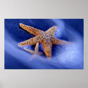 USA, South Carolina, Hilton Head Island.Zwei Poster