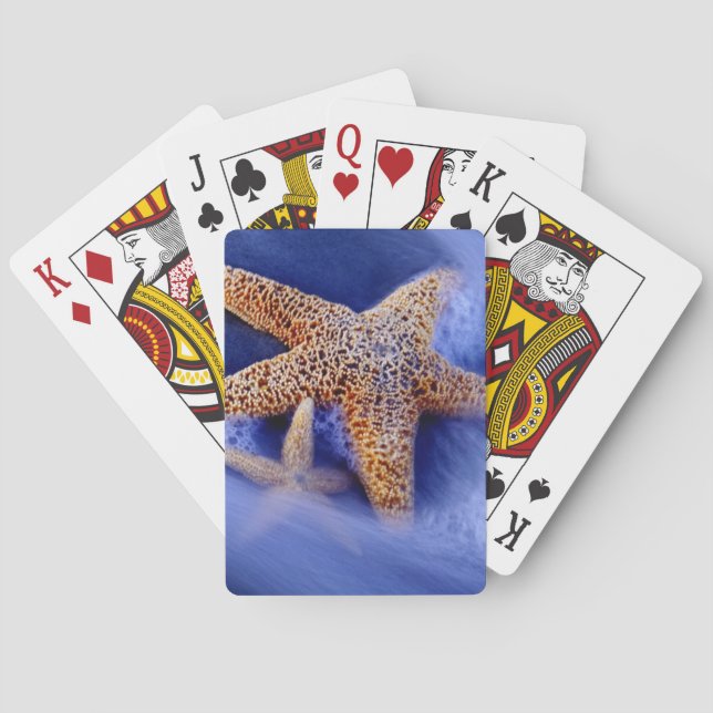 USA, South Carolina, Hilton Head Island. Zwei Spielkarten (Rückseite)