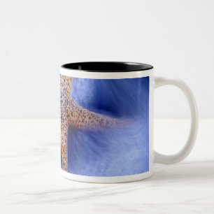 USA, South Carolina, Hilton Head Island.Zwei Zweifarbige Tasse