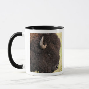 USA, South Dakota, amerikanischer Bison Tasse