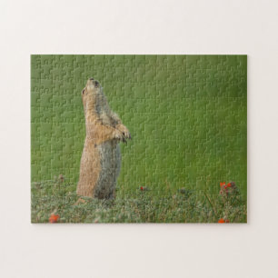 USA, South Dakota, Custer State Park Puzzle