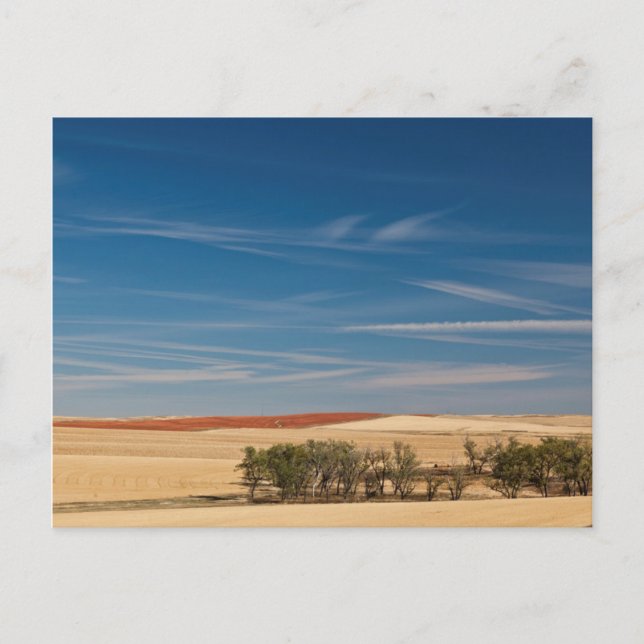 USA, Süddakota, Murdo, Prairie Landscape Postkarte (Vorderseite)