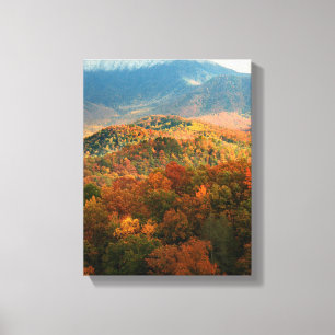 USA, Tennessee. Ansicht des schneebedeckten Mount  Leinwanddruck
