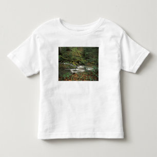 USA, Tennessee. Big South Fork National River Kleinkind T-shirt