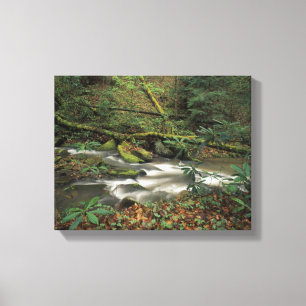 USA, Tennessee. Big South Fork National River Leinwanddruck