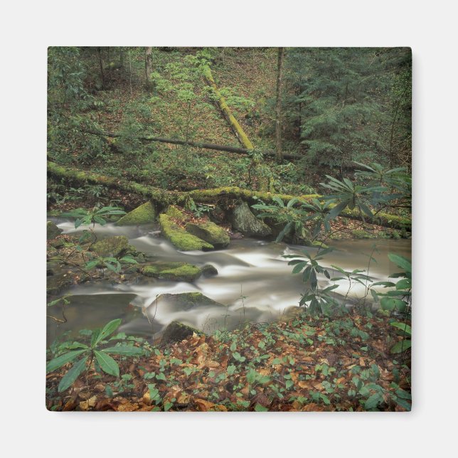 USA, Tennessee. Big South Fork National River Magnet (Vorne)