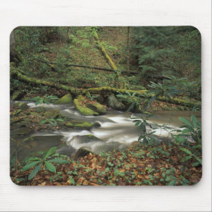 USA, Tennessee. Big South Fork National River Mousepad