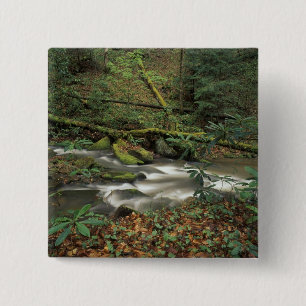 USA, Tennessee. Big South Gabelinsel Button