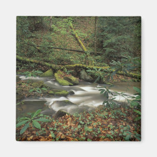 USA, Tennessee. Big South Gabelinsel Magnet