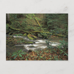 USA, Tennessee. Big South Gabelinsel Postkarte