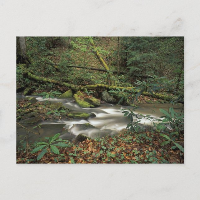 USA, Tennessee. Big South Gabelinsel Postkarte (Vorderseite)