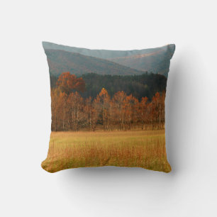 USA, Tennessee. Cades Cove in der Smoky Mountain Kissen