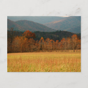 USA, Tennessee. Cades Cove in der Smoky Mountain Postkarte