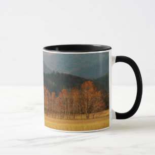 USA, Tennessee. Cades Cove in Smoky Mountain Tasse