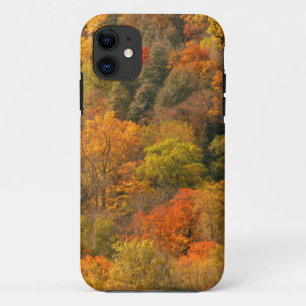 USA, Tennessee. Fall Foliage 2 Case-Mate iPhone Hülle