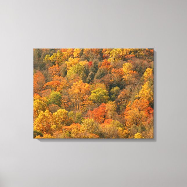 USA, Tennessee. Fall Foliage 2 Leinwanddruck (Vorderseite)