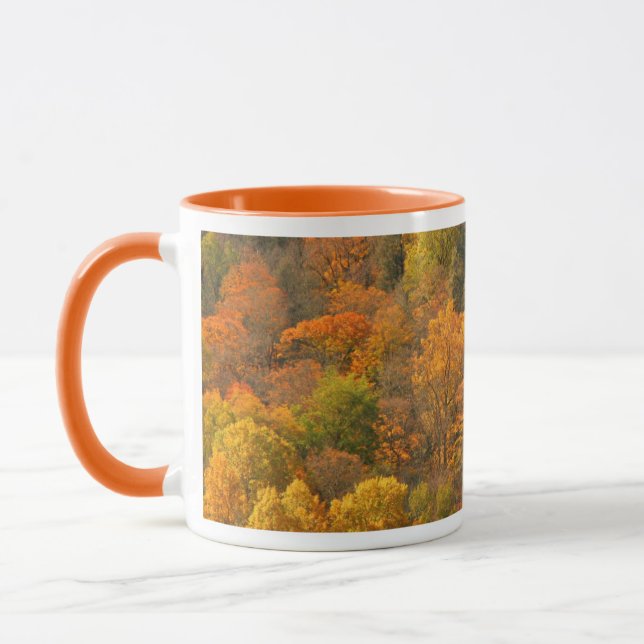 USA, Tennessee. Fall Foliage 2 Tasse (Links)